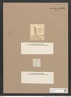 Pleurosigma eximium (Thwait.) (de-Toni-Nr.: Genus 13, Species 1097) Zeichnungen Sammlung Grunow Nr. 2136 (NHMW-BOT-W0369174)